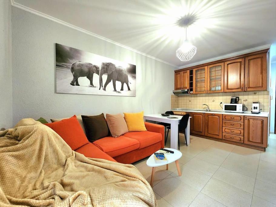 One Bd Flat Near Center With 24H Self Check In Appartement Tirana Buitenkant foto